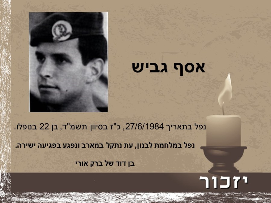 יום הזיכרון לחללי מערכות ישראל ולנפגעי פעולות האיבה רשימת הנופלים