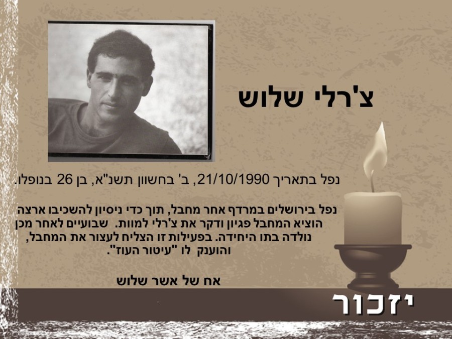 יום הזיכרון לחללי מערכות ישראל ולנפגעי פעולות האיבה רשימת הנופלים