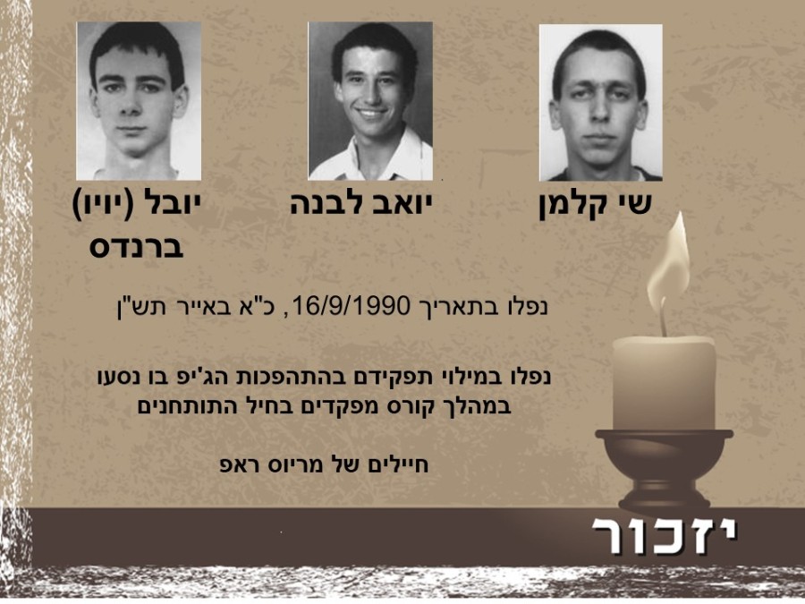 יום הזיכרון לחללי מערכות ישראל ולנפגעי פעולות האיבה רשימת הנופלים