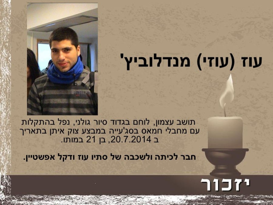 יום הזיכרון לחללי מערכות ישראל ולנפגעי פעולות האיבה רשימת הנופלים