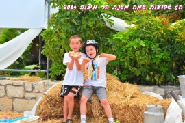 שבועות 2014