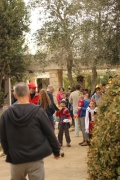 IMG_0201 (Medium)