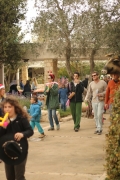 IMG_0226 (Medium)