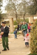 IMG_0230 (Medium)