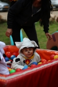 IMG_0403 (Medium)