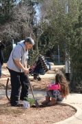 IMG_9341 (Medium)