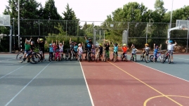 IMG-6 (Large)