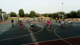 IMG-9 (Large)