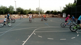 IMG-13 (Large)