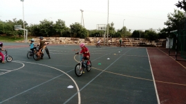 IMG-17 (Large)