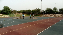 IMG-18 (Large)