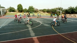 IMG-8 (Large)