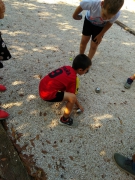 IMG_20190801_171543