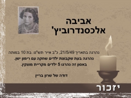 יום הזיכרון לחללי מערכות ישראל ולנפגעי פעולות האיבה רשימת הנופלים