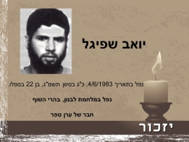יום הזיכרון לחללי מערכות ישראל ולנפגעי פעולות האיבה רשימת הנופלים